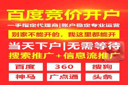 SEM专员案例：数据分析与优化